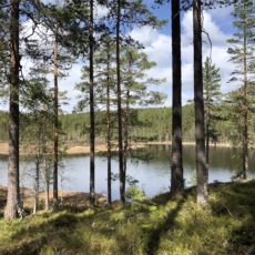 Godkjente bruksregler – Løiten Almenning