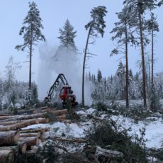 Årsmelding og regnskap for 2021